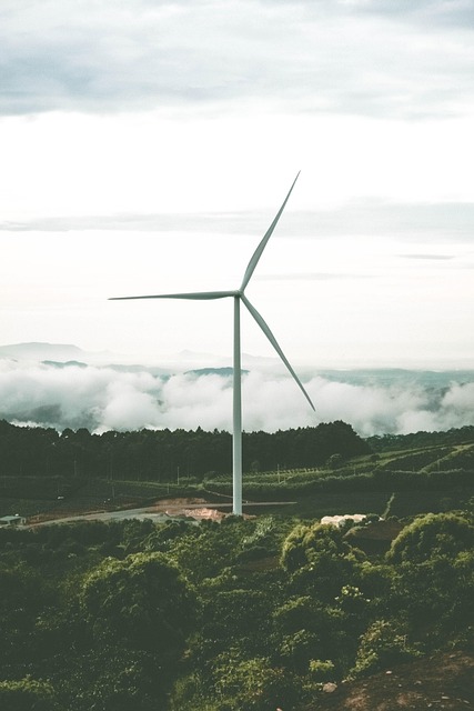 Energía Limpia y su Rol en la Lucha Contra el Cambio Climático